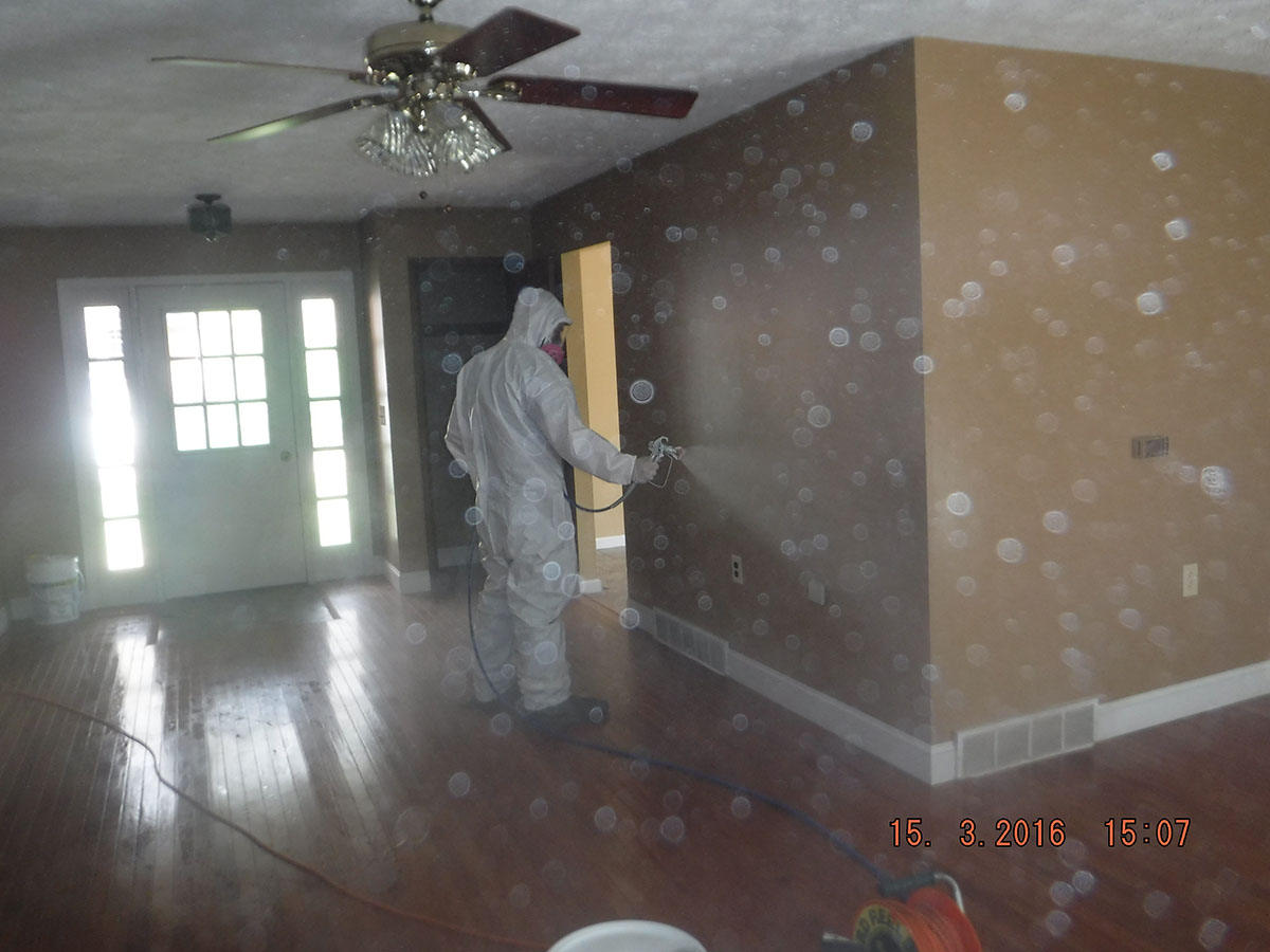 Ward Tarski Mold Fire Water And Asbestos Mold And