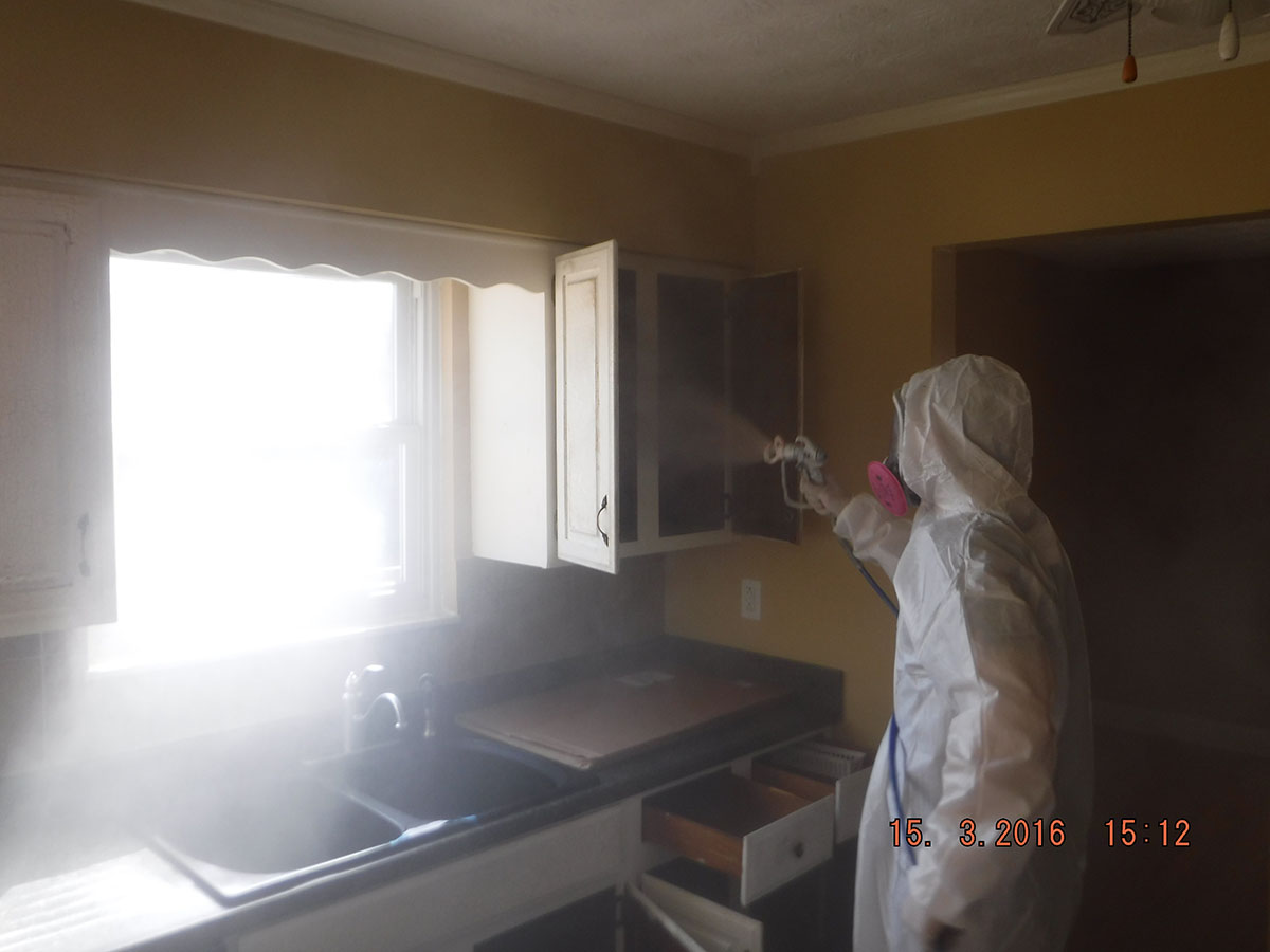 Mold Treatment