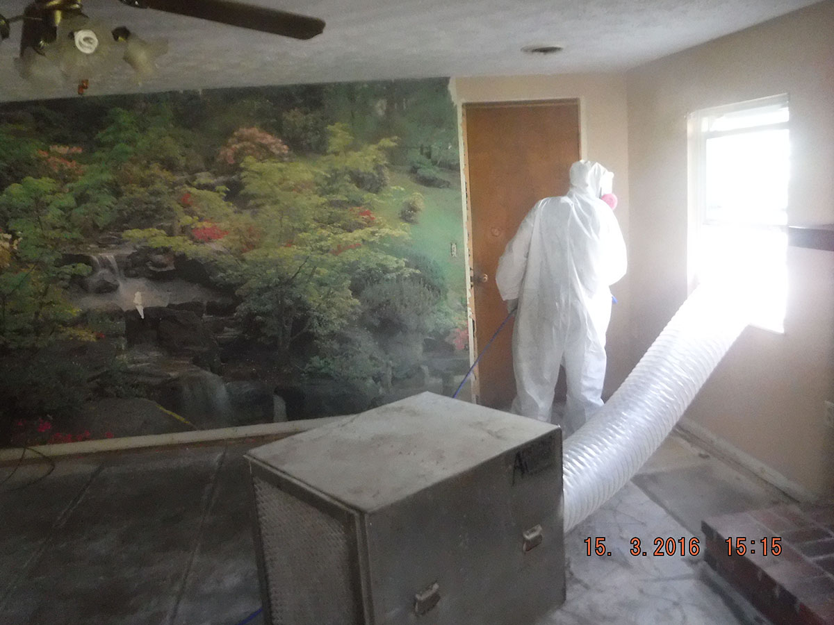 Mold Treatment