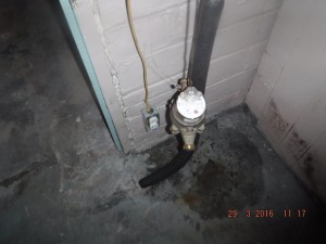 Black mold in basement  Mansfield Ohio   