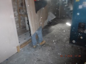 Black mold remediation basement   Mansfield Ohio   