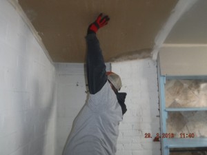 Black mold remediation ceiling    Mansfield Ohio   