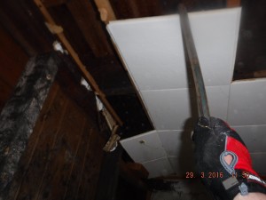 Black mold remediation basement    Mansfield Ohio   