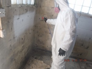 Black mold removal Cincinnati Ohio 