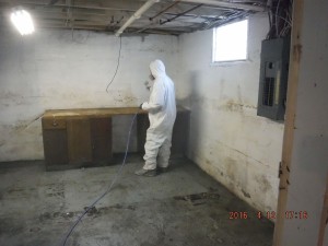Black mold removal Mansfield Ohio   