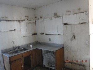 Black mold in house Mansfield Ohio                           