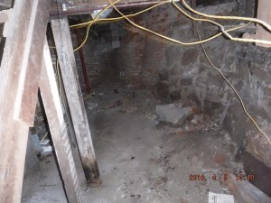 Black mold in basement  Cleveland Ohio  