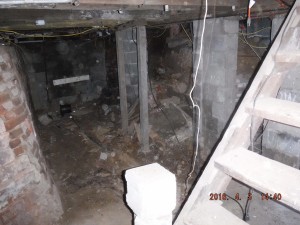 Black mold in basement Cleveland Ohio    