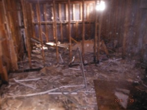 Black mold in basement  Mansfield Ohio    