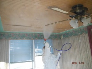 Black mold removal ceiling Mansfield Ohio     