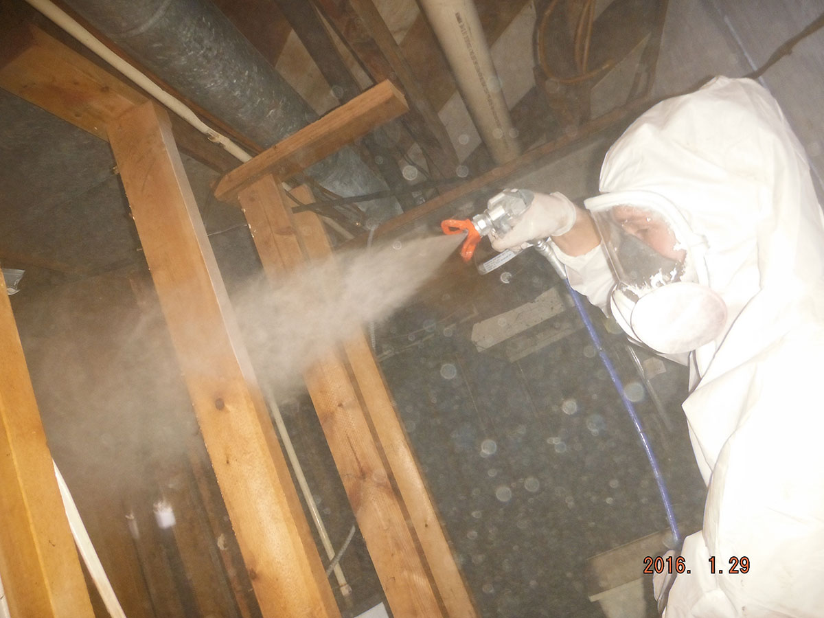 Mold treatment