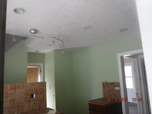 Black mold in house Cleveland Ohio 