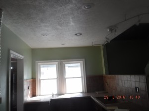 Black mold in house Cleveland Ohio 