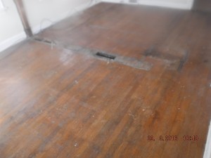 Black mold in house  Cleveland Ohio