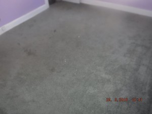 Black mold in house  Columbus Ohio