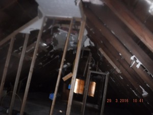 Black mold in house Columbus Ohio 