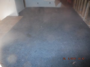 Black mold in house Columbus Ohio 