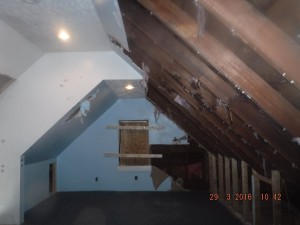 Black mold in house Columbus Ohio  