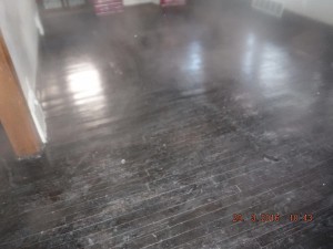 Black mold in house Columbus Ohio 