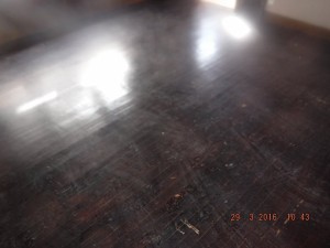 Black mold in house  Columbus Ohio