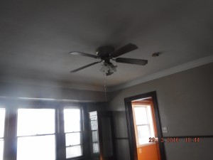 Black mold in house Columbus Ohio 