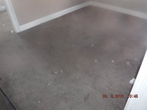 Black mold in house  Columbus Ohio 