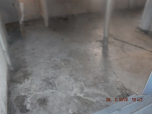 Black mold in house Columbus Ohio 