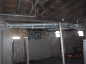 Black mold in house Columbus Ohio 