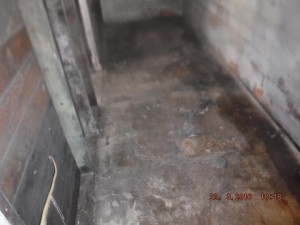 Black mold in basement  Columbus Ohio  