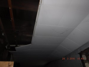 Black mold in basement  Columbus Ohio  