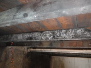 Black mold in basement  Columbus Ohio  