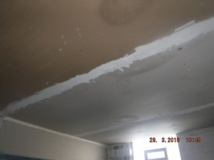 Black mold in basement Columbus Ohio    