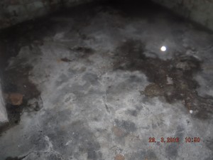 Black mold in basement Columbus Ohio   