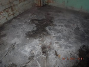 Black mold in basement Columbus Ohio
