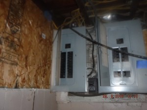 Black mold in basement  Mansfield Ohio   