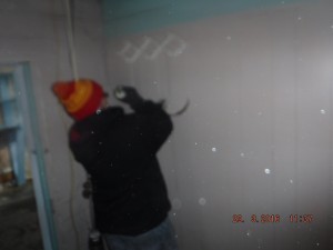 Black mold remediation Mansfield Ohio   