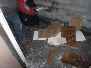 Black mold remediation Mansfield Ohio   