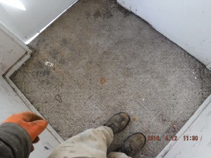 Black mold inspection Mt Vernon Ohio  