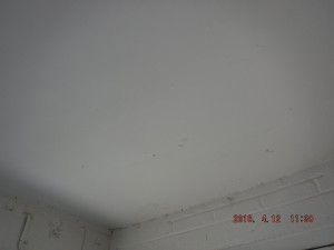 Black mold inspection Mt Vernon Ohio  