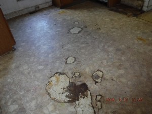 Black mold inspection Mt Vernon Ohio 
