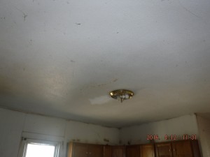 Black mold inspection Mt Vernon Ohio 