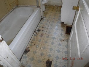 Black mold inspection Mt Vernon Ohio 