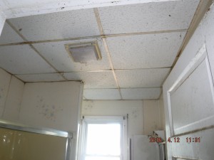 Black mold inspection Mt Vernon Ohio 