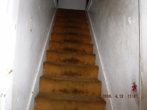 Black mold inspection Mt Vernon Ohio 