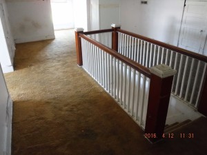 Black mold inspection Mt Vernon Ohio 
