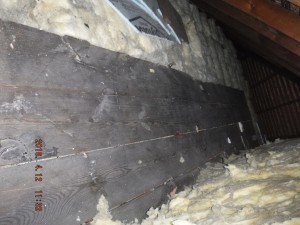 Black mold remediation Cleveland Ohio   
