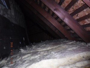 Black mold remediation Cleveland Ohio 