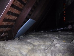 Black mold remediation Cleveland Ohio 