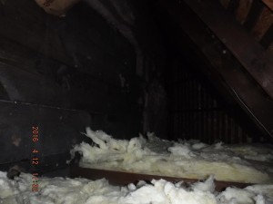 Black mold remediation Cleveland Ohio 