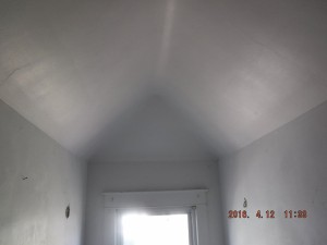 Black mold remediation Cleveland Ohio 